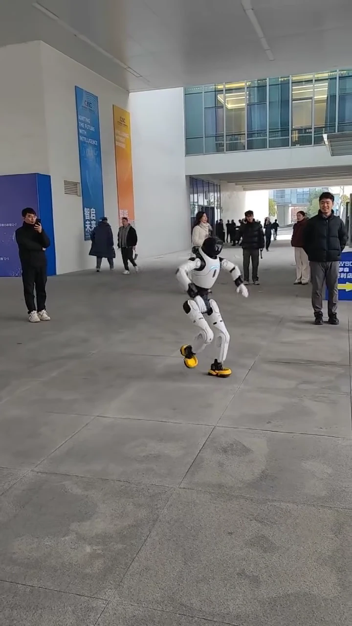 现场机器人演示